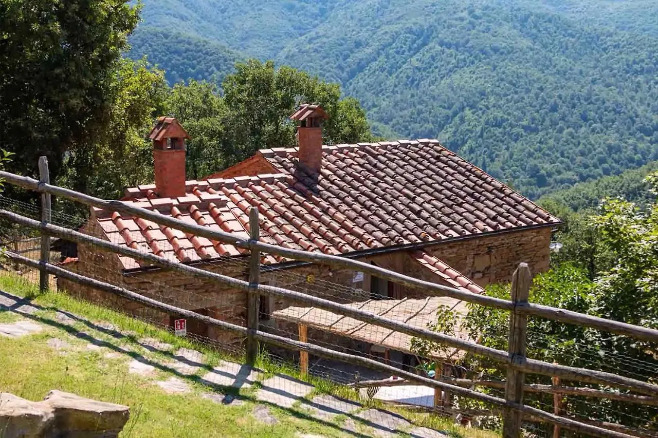 Ferienhaus Agriturismo Con Piscina In Toscana, Tribbiano Arezzo