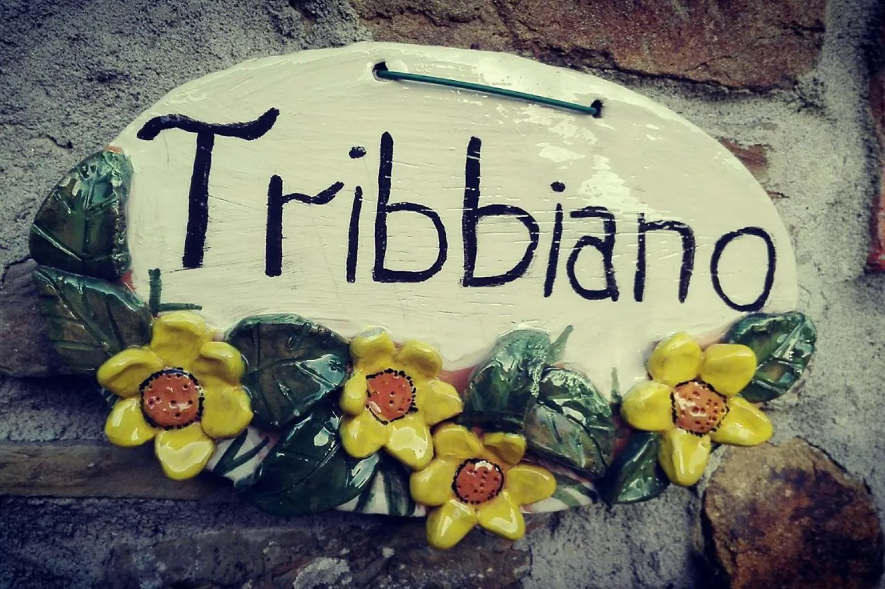 Agriturismo Con Piscina In Toscana, Tribbiano Arezzo Ferienhaus