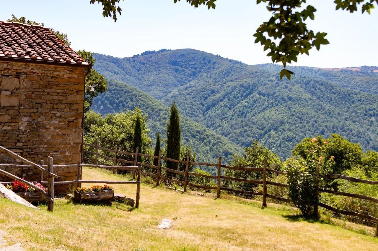 Agriturismo Con Piscina In Toscana, Tribbiano Arezzo Italia